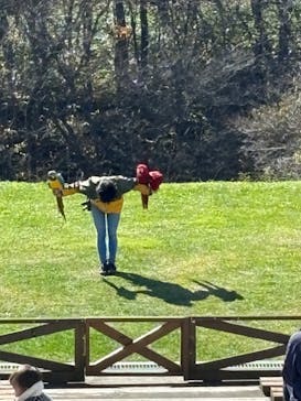 那須どうぶつ王国に投稿された画像（2024/11/19）