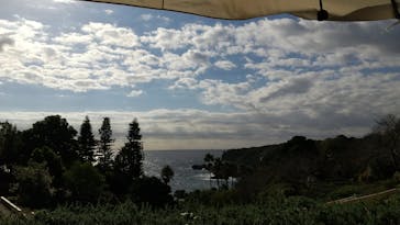 ニューヨークランプミュージアム＆フラワーガーデンに投稿された画像（2024/11/19）