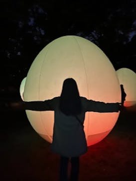 チームラボ ボタニカルガーデン 大阪に投稿された画像（2024/11/19）