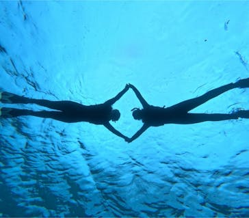 宮古島 ADVENTURE PiPi（ミヤコジマ アドベンチャー ピピ）に投稿された画像（2024/11/19）