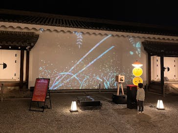 NAKED meets 二条城 2025 観月に投稿された画像（2024/11/19）