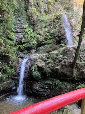 ニューサンピア埼玉おごせに投稿された画像（2024/11/19）