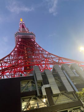 東京タワーに投稿された画像（2024/11/19）