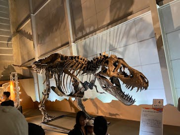 巨大恐竜展2024に投稿された画像（2024/11/19）