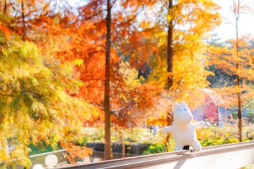 ムーミンバレーパークに投稿された画像（2024/11/19）