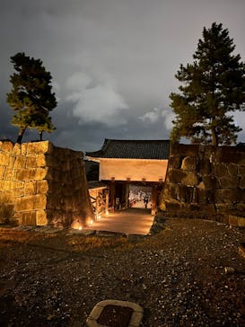 NAKED meets 二条城 2025 観月に投稿された画像（2024/11/19）