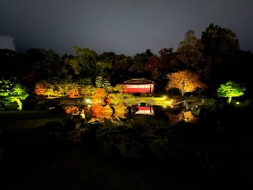 NAKED meets 二条城 2025 観月に投稿された画像（2024/11/19）