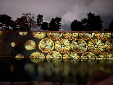 NAKED meets 二条城 2025 観月に投稿された画像（2024/11/19）