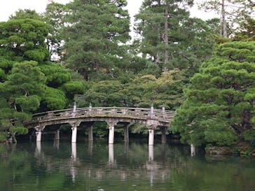 京阪電車に投稿された画像（2024/11/19）