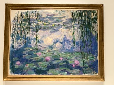 モネ 睡蓮のとき（国立西洋美術館）に投稿された画像（2024/11/19）
