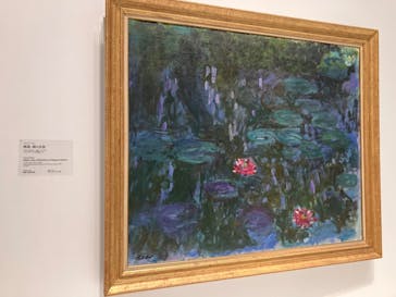 モネ 睡蓮のとき（国立西洋美術館）に投稿された画像（2024/11/19）