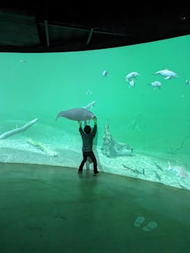 カワスイ 川崎⽔族館に投稿された画像（2024/11/19）