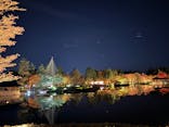国営昭和記念公園 秋の夜散歩に投稿された画像（2024/11/20）