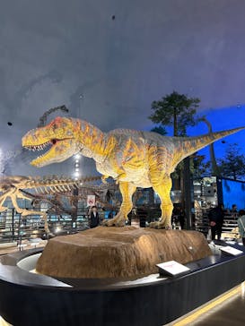 福井県立恐竜博物館に投稿された画像（2024/11/20）