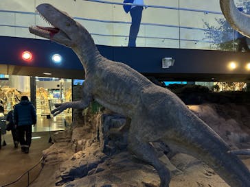 福井県立恐竜博物館に投稿された画像（2024/11/20）