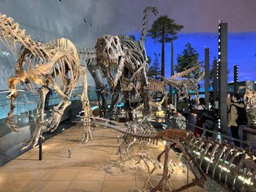 福井県立恐竜博物館に投稿された画像（2024/11/20）