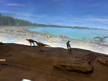 福井県立恐竜博物館に投稿された画像（2024/11/20）