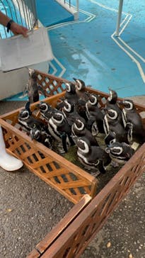 のとじま水族館に投稿された画像（2024/11/20）