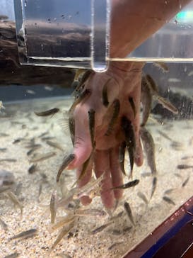 のとじま水族館に投稿された画像（2024/11/20）