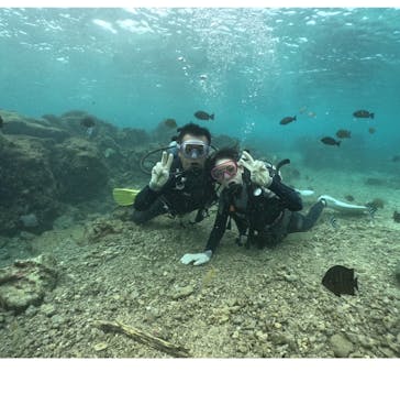 武藤潜水に投稿された画像（2024/11/20）