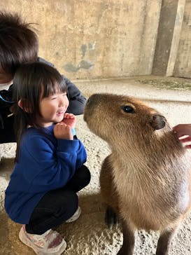 アクアワールド茨城県大洗水族館に投稿された画像（2024/11/20）