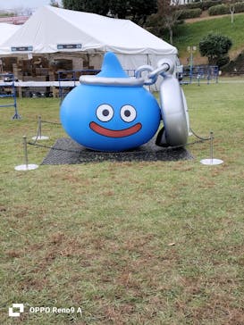 グリーンランドに投稿された画像（2024/11/20）