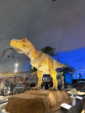 福井県立恐竜博物館に投稿された画像（2024/11/20）