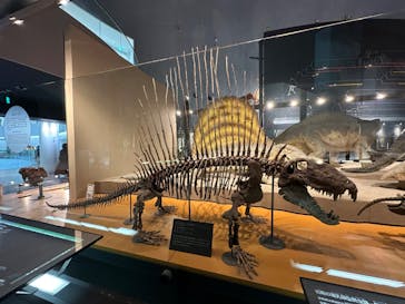 福井県立恐竜博物館に投稿された画像（2024/11/20）