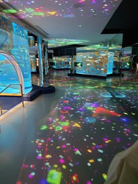 のとじま水族館に投稿された画像（2024/11/20）