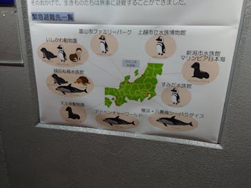 のとじま水族館に投稿された画像（2024/11/20）