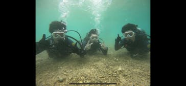 武藤潜水に投稿された画像（2024/11/20）