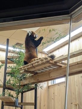 名古屋市東山動植物園に投稿された画像（2024/11/20）
