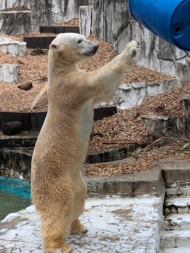 名古屋市東山動植物園に投稿された画像（2024/11/20）