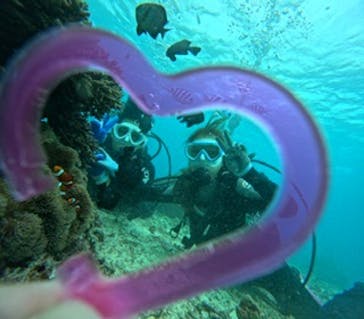 青の洞窟専門店　沖縄ダイビングショップ和に投稿された画像（2024/11/20）