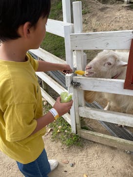 NESTA RESORT KOBE（ネスタリゾート神戸）に投稿された画像（2024/11/20）