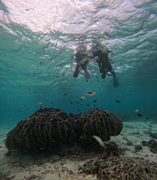 沖縄マリンサービス碧に投稿された画像（2024/11/20）