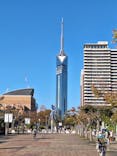 福岡タワーに投稿された画像（2024/11/20）