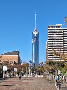 福岡タワーに投稿された画像（2024/11/20）