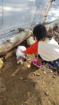 神戸市立六甲山牧場に投稿された画像（2024/11/20）