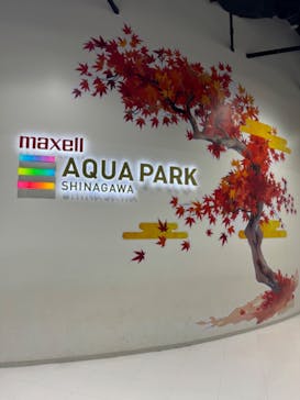 マクセル アクアパーク品川に投稿された画像（2024/11/20）