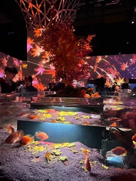 マクセル アクアパーク品川に投稿された画像（2024/11/20）