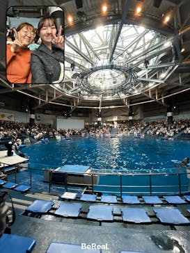 マクセル アクアパーク品川に投稿された画像（2024/11/20）