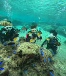 沖縄マリンサービス碧に投稿された画像（2024/11/20）