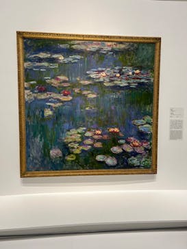 モネ 睡蓮のとき（国立西洋美術館）に投稿された画像（2024/11/20）