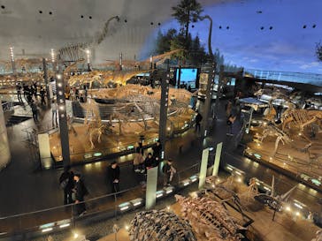 福井県立恐竜博物館に投稿された画像（2024/11/20）