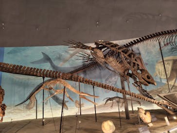 福井県立恐竜博物館に投稿された画像（2024/11/20）