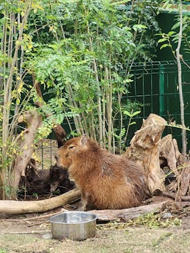竹島水族館に投稿された画像（2024/11/20）