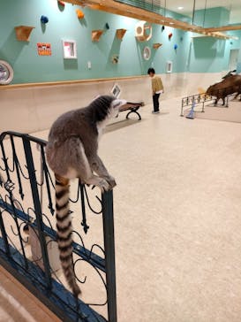 アニタッチアクアシティお台場に投稿された画像（2024/11/20）