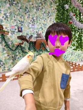 アニタッチアクアシティお台場に投稿された画像（2024/11/20）