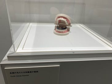 MINIATURE LIFE展 ー田中達也 見立ての世界ー　in　門司港レトロに投稿された画像（2024/11/20）